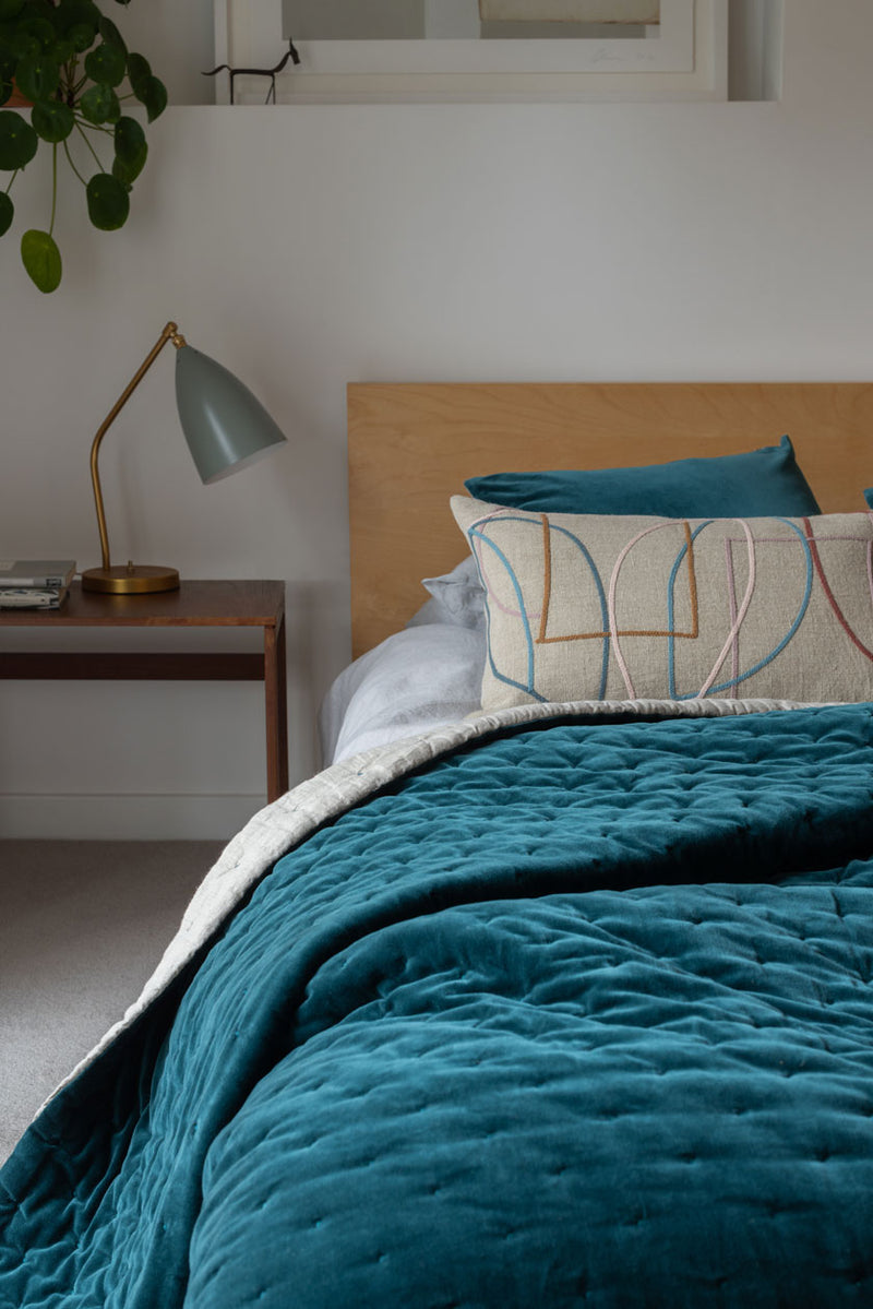 Teal velvet throw sale